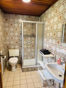 a bathroom with a toilet and a shower and a sink at Ferienwohnung Bayerischer Wald in Zwiesel