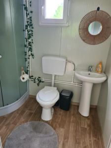 a bathroom with a toilet and a sink at Purple Diamond in Damiş