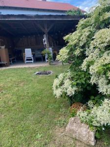a bush with white flowers in a yard at WORK & Rest Monteurzimmer in Batzhausen