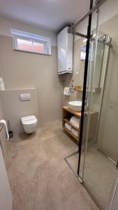 a bathroom with a toilet and a sink at Apartments Cassia in Mali Lošinj