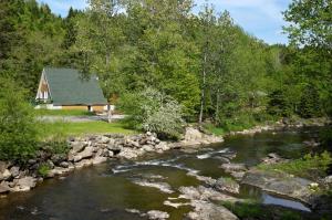 a house in the woods next to a river at Chalet du barrage in East Broughton Station +7 photos