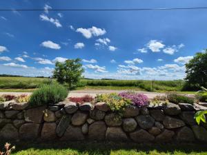 a stone wall with flowers in front of a field at HAUS 13 in Upahl
