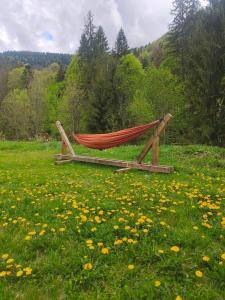 a hammock sitting in a field of flowers at Pensiunea Larix in Răchiţele