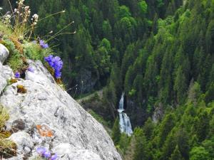 a view of a waterfall on a mountain with flowers at Pensiunea Larix in Răchiţele
