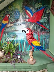 two colorful birds on a stand in front of a mural at Pousada Recanto Sapoti in Barreirinhas