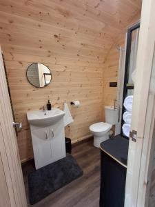 a bathroom with a white sink and a toilet at Blackstairs Glamping Pod 1 in Killann