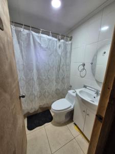 a bathroom with a toilet and a sink at Cabaña Gazul in Porvenir