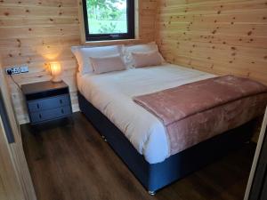 a bed in a wooden room with a lamp on a table at Blackstairs Glamping Pod 1 in Killann