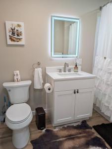 a bathroom with a toilet and a sink and a mirror at Scenic Homestead Barndominium in Dryden +49 photos