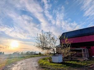 a dirt road next to a red barn with a tree at Scenic Homestead Barndominium in Dryden