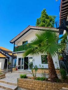 a palm tree in front of a house at Chalet duplex N 7 avec piscine in Bouzareah