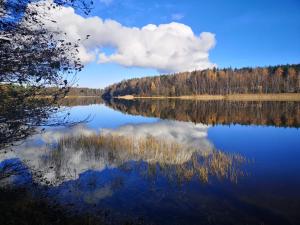 a view of a lake with trees and a cloud at Leśna Przystań Kaszuby in JeleÅ„ska Huta