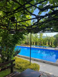 a view of a swimming pool from under a pergola at Plava Zora in Kolašin