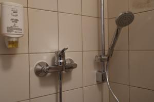 a shower in a bathroom with a shower head at Hotel Sächsischer Hof in Pirna +15 photos
