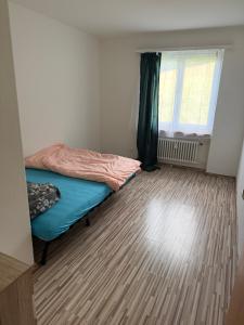 a small room with a bed and a window at Apartment in Reigoldswil in Reigoldswil