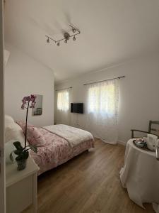 a bedroom with a bed and a television in it at Les Jujubiers in Draguignan