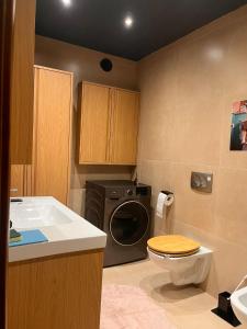 a bathroom with a washing machine and a sink at Apartman Jesenjin Pobri in Volosko +32 photos