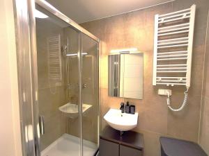 a bathroom with a shower and a sink and a mirror at Residence Pod Bublavou in Kraslice +52 photos