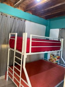 a bunk bed with a ladder and a bunk bed in a room at Villa Esperanza in San Cristóbal