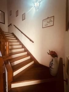 a staircase in a house with a plant in a vase at Rua Gama Barros 22 SUITE in Charneca