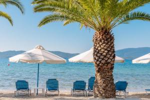 una palmera en la playa con sillas y sombrillas en Μeltemi en Glífa