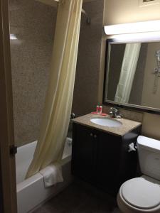 a bathroom with a sink and a shower curtain at Quality Inn Near Pimlico Racetrack in Baltimore +20 photos