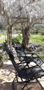 a black lawn chair sitting under a tree at Casa Vacanze Campagna&mare in Pollina
