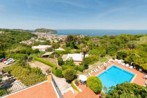 an aerial view of a villa with a swimming pool at Hotel Monti in Casamicciola Terme