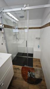 a bathroom with a shower and a rug on the floor at Hasi-Stübchen in Geldern +6 photos