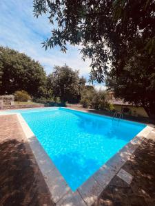 a blue swimming pool with trees in the background at Holiday al Poggettone in Monteroni dʼArbia