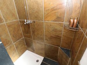 a bathroom with a shower with a wooden tile wall at Ysgol Hill Cottage in Rosebush +8 photos