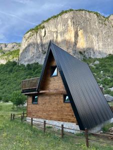 a house with a black roof with a mountain in the background at Komarnica Forest Owl 2 in Šavnik