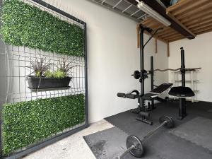 a gym with a green wall with a bench and plants at Villa Populo in Ponta Delgada
