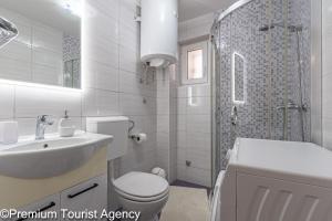 a bathroom with a toilet and a sink and a shower at Milena Sea & Mountain View in Zubovići