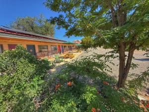 a building with a tree in front of it at King Five Mokee Motel Pets OK Shared Kitchen in Bluff