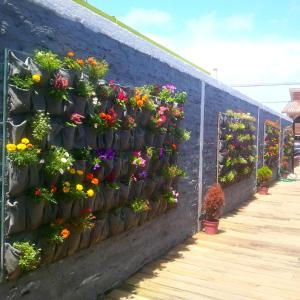 Una pared con muchas macetas de flores. en Del Barcito Hostel and Suites, en Punta del Este