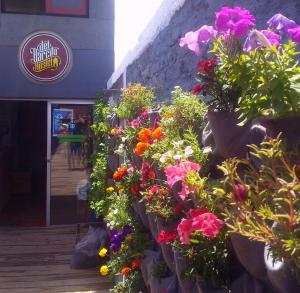 a bunch of flowers on the side of a building at Del Barcito Hostel and Suites in Punta del Este