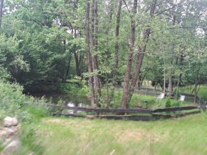 a wooden fence in a field with trees at Casuta din padure in Breb +6 photos