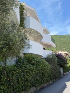 a white building with bushes next to a street at Novia Apartment 22 in Đenovići