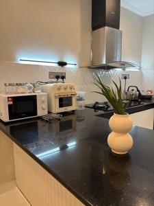 a kitchen with a counter with a microwave and a vase at Landed IOI City Mall Country Heights Putrajaya Homestay in Kajang +18 photos