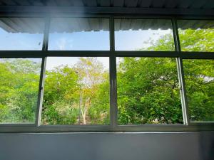 a window in a room with a view of trees at RK Homes in Delhi +4 photos