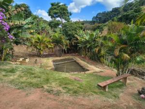 a bench in a garden with palm trees at Quarto Privativo in Caparaó Velho