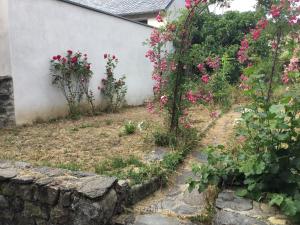 a garden with pink flowers and a wall at Maison des barrys in Ispagnac