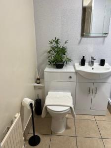 a bathroom with a toilet and a sink and a plant at Park Cottage in Scunthorpe +18 photos