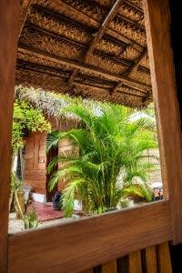 a view of a patio with palm trees at once more hostel in Pottuvil