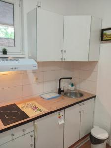 a kitchen with white cabinets and a sink at Apartman studio DUE Apatin in Apatin +3 photos