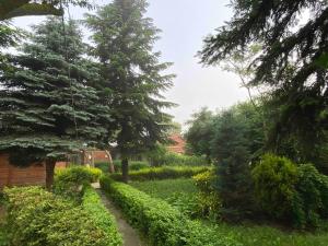 a garden with trees and bushes and a path at Hipodruma Resort & Pool in Dobrich
