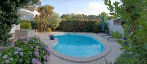 a small swimming pool in a yard with flowers at La Nomade in Andernos-les-Bains +8 photos
