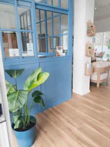 a blue cabinet in a room with a plant at Lembranza Guest House in Ponte Do Porto