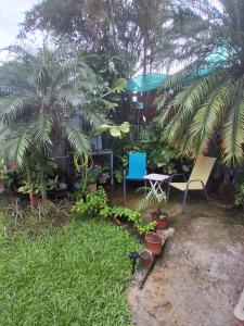 a garden with two chairs and a table and palm trees at Alexander b&b in Alajuela